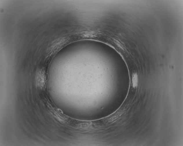 X0000085011444200703051235