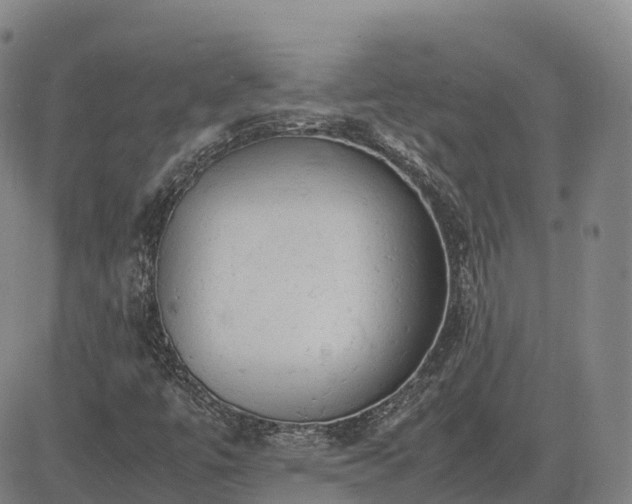 X0000085011447200703051235