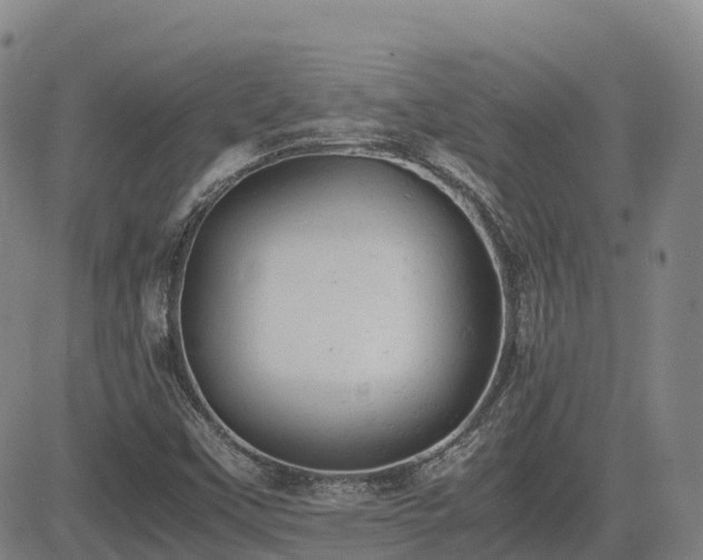 X0000085011451200703051235