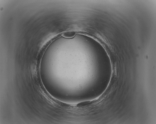 X0000085011452200703051235