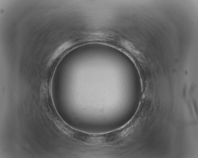 X0000085011453200703051234