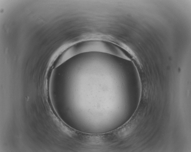 X0000085011472200703051234