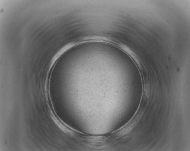 X0000085011482200703051234