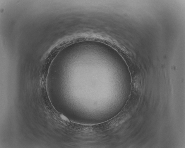 X0000085011495200703051233