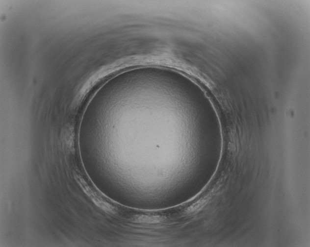X0000085011499200703051233