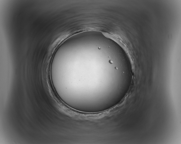 X0000085010001200703121531