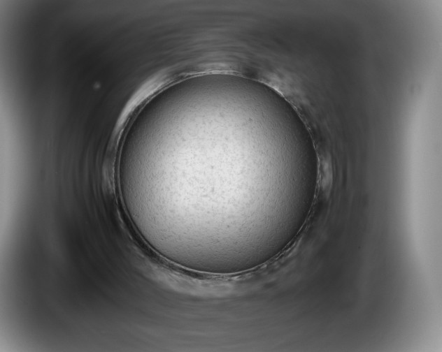 X0000085010004200703121531
