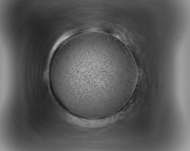 X0000085010006200703121531