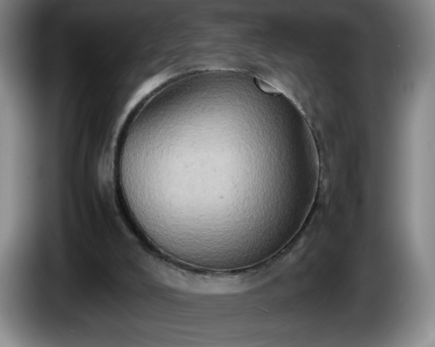 X0000085010008200703121531
