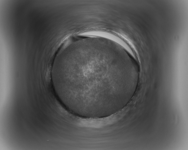 X0000085010009200703121531