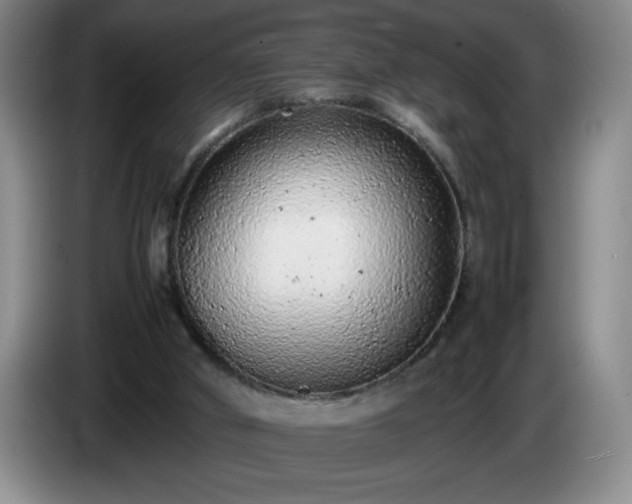 X0000085010010200703121531