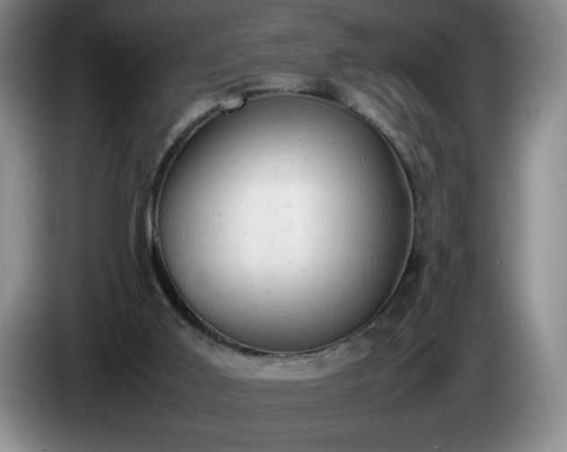 X0000085010011200703121531
