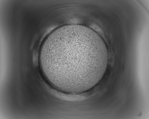 X0000085010012200703121531