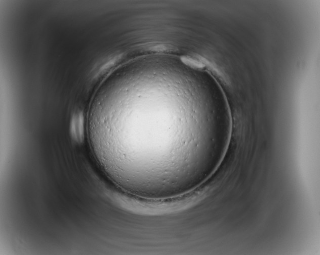 X0000085010014200703121531