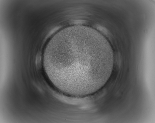 X0000085010016200703121531