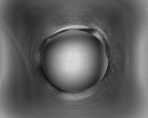 X0000085010017200703121531