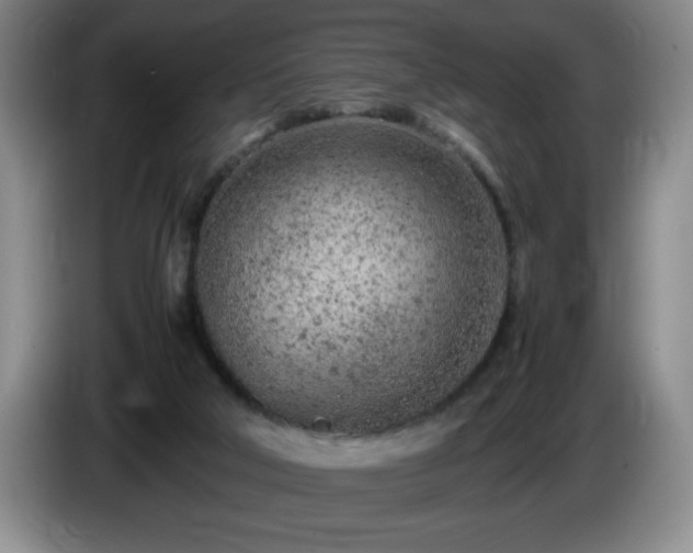 X0000085010018200703121531