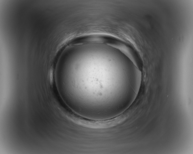 X0000085010019200703121531