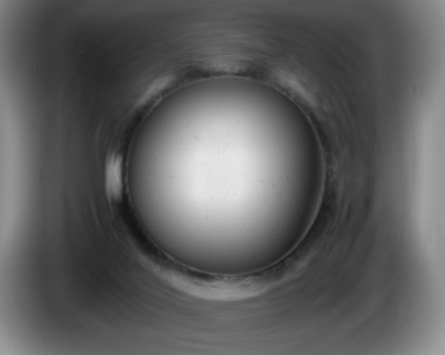 X0000085010020200703121531