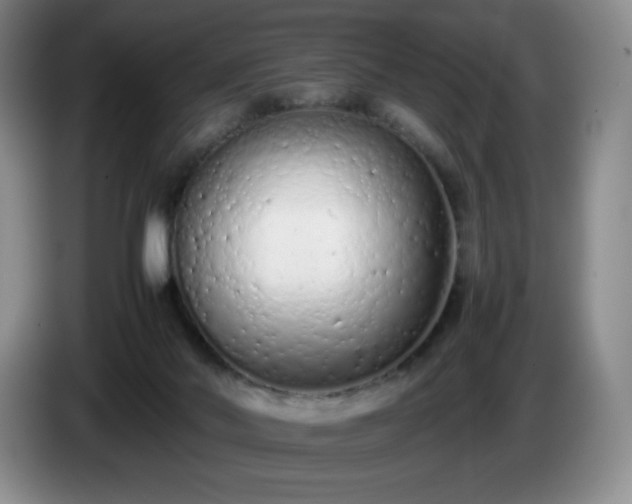 X0000085010022200703121531