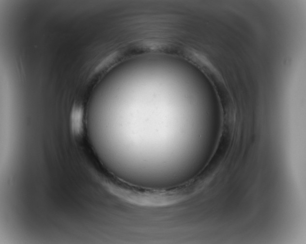 X0000085010024200703121531