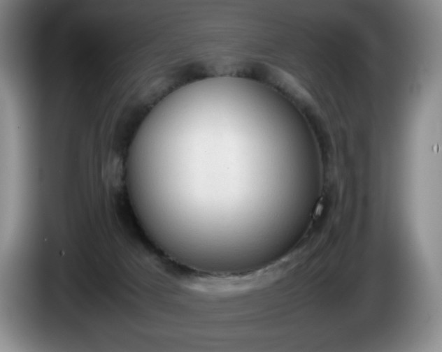X0000085010025200703121531