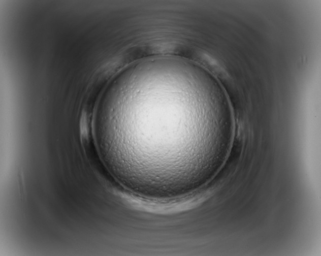 X0000085010026200703121531