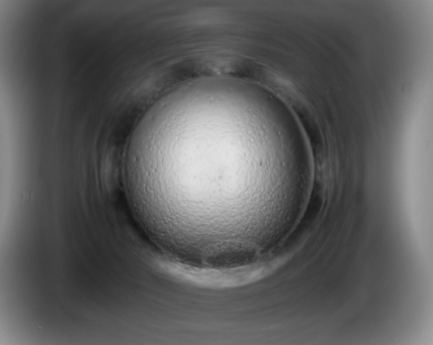 X0000085010030200703121531