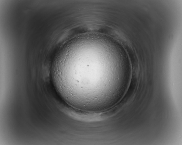 X0000085010032200703121531