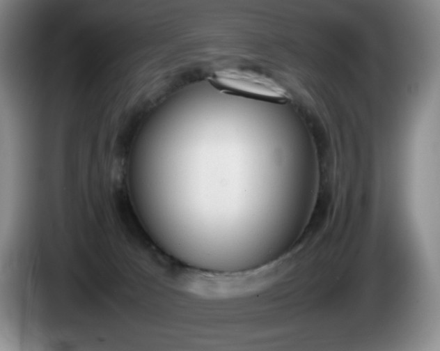 X0000085010033200703121531