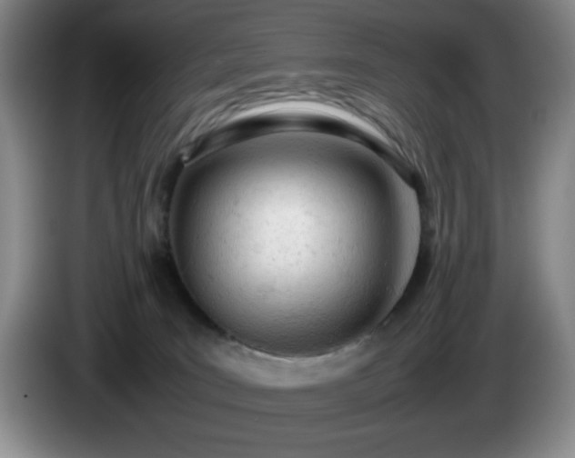 X0000085010035200703121531