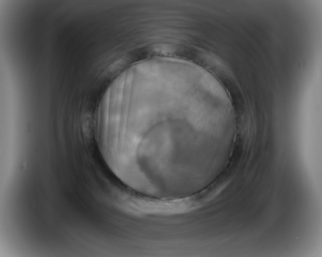 X0000085010036200703121531