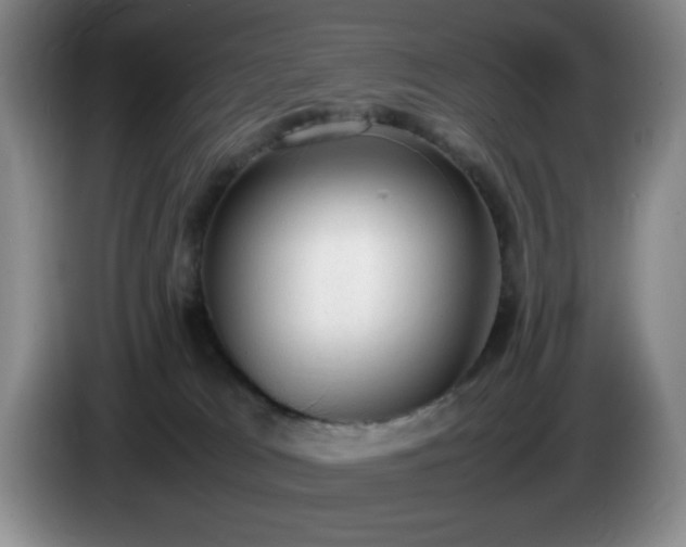 X0000085010037200703121531
