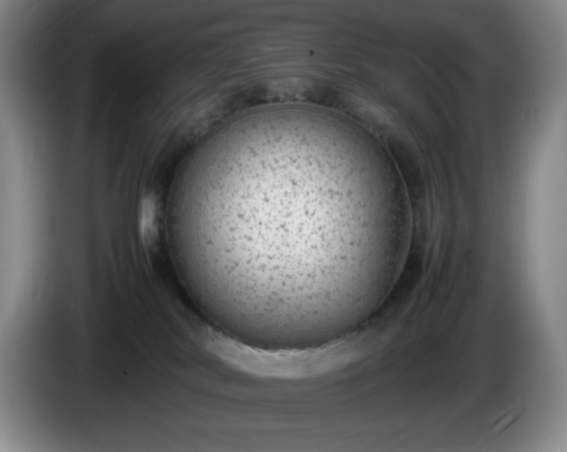 X0000085010038200703121531
