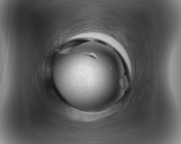 X0000085010039200703121531