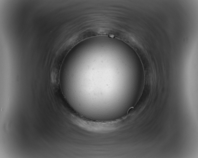 X0000085010044200703121531