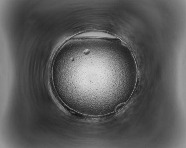 X0000085010049200703121530