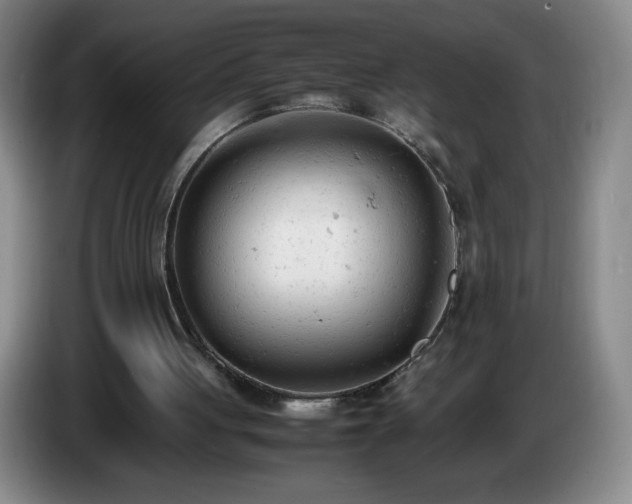 X0000085010051200703121530
