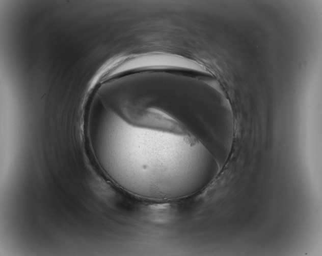 X0000085010054200703121530