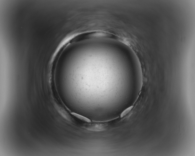 X0000085010056200703121530