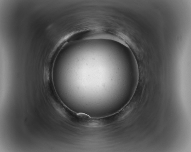 X0000085010060200703121530