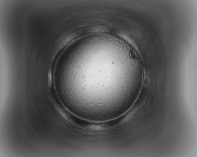 X0000085010061200703121530