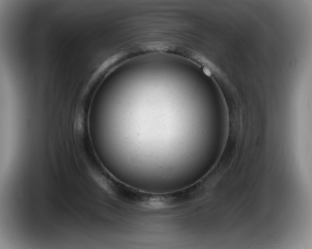 X0000085010064200703121530