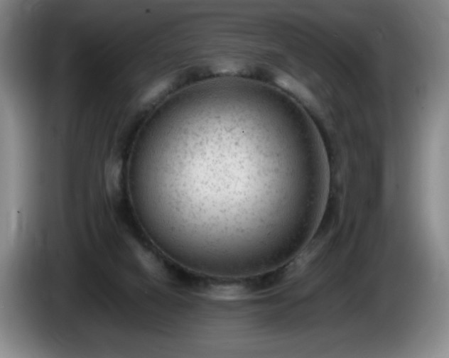 X0000085010066200703121530