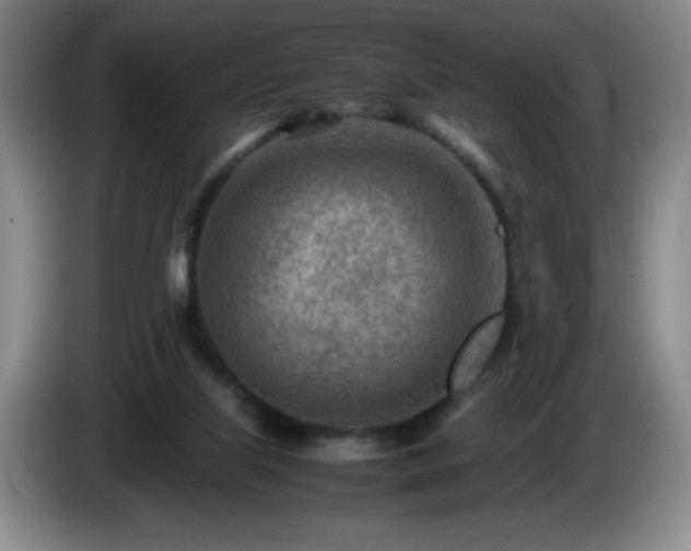 X0000085010067200703121530