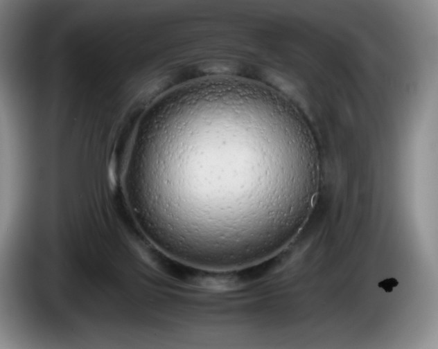 X0000085010069200703121530