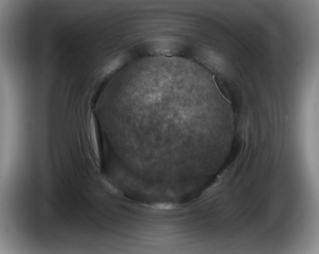 X0000085010076200703121530