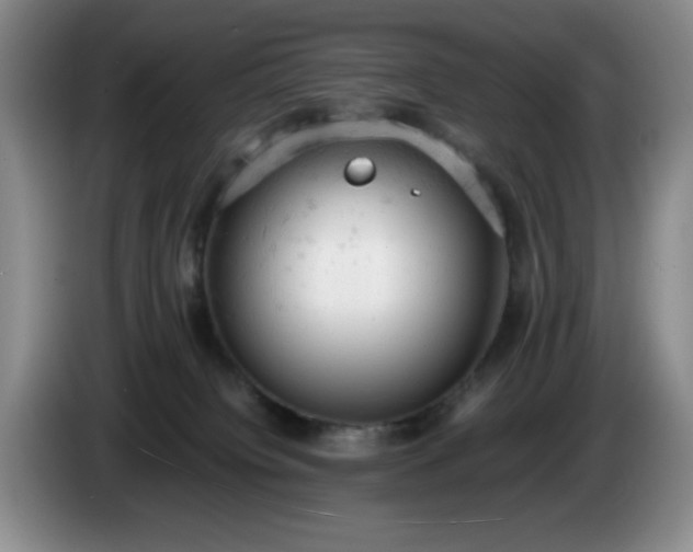 X0000085010084200703121530