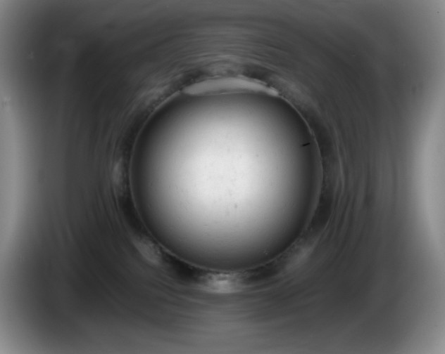 X0000085010088200703121530