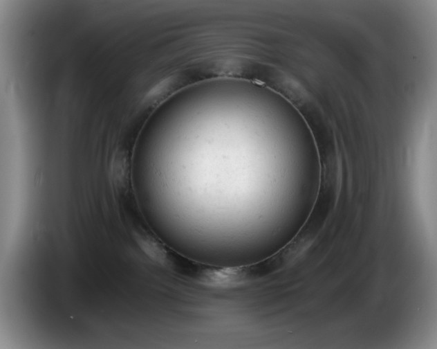 X0000085010092200703121530